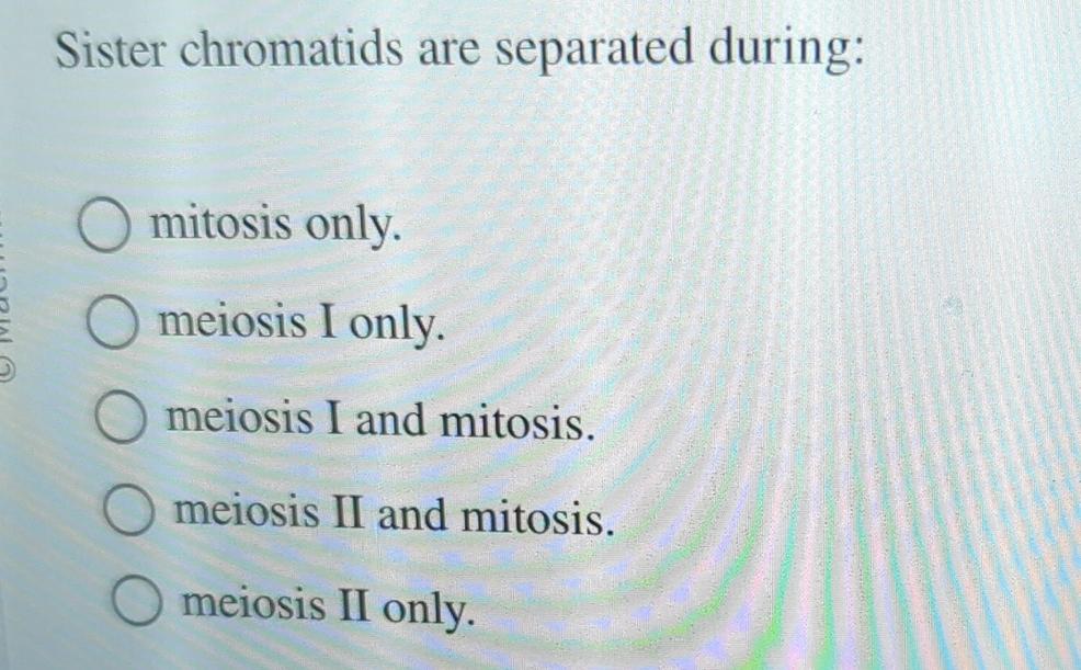 Solved Sister chromatids are separated during:mitosis Biology Diagrams