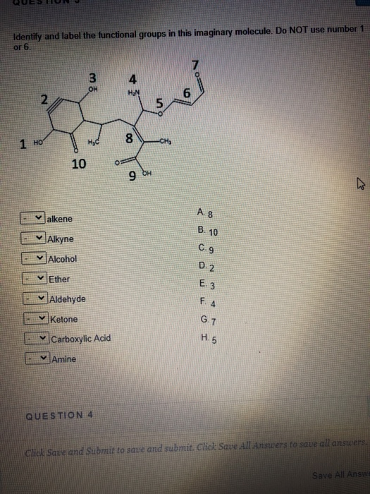 Solved Match The Following Molecules To Their Correct | Chegg.com