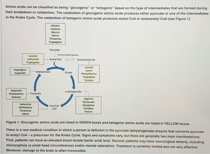 Solved Amino acids can be classified as being "glucogenic"