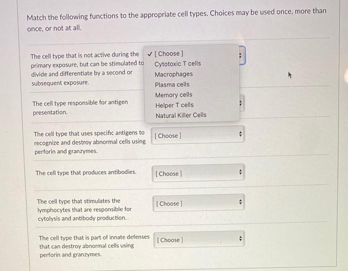 Solved Match the following functions to the appropriate cell | Chegg.com