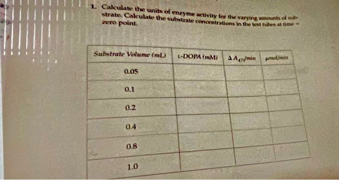 1 Calculate The Units Of Enzyme Activity For The Chegg Com