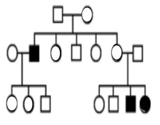 Solved Nt ООО ОО О 인 모 모오오 0 0 모모 이 Oh 우어어 인모 모 