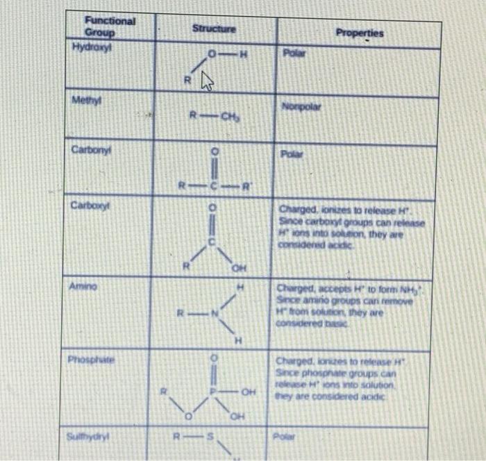 hydroxyl group structure