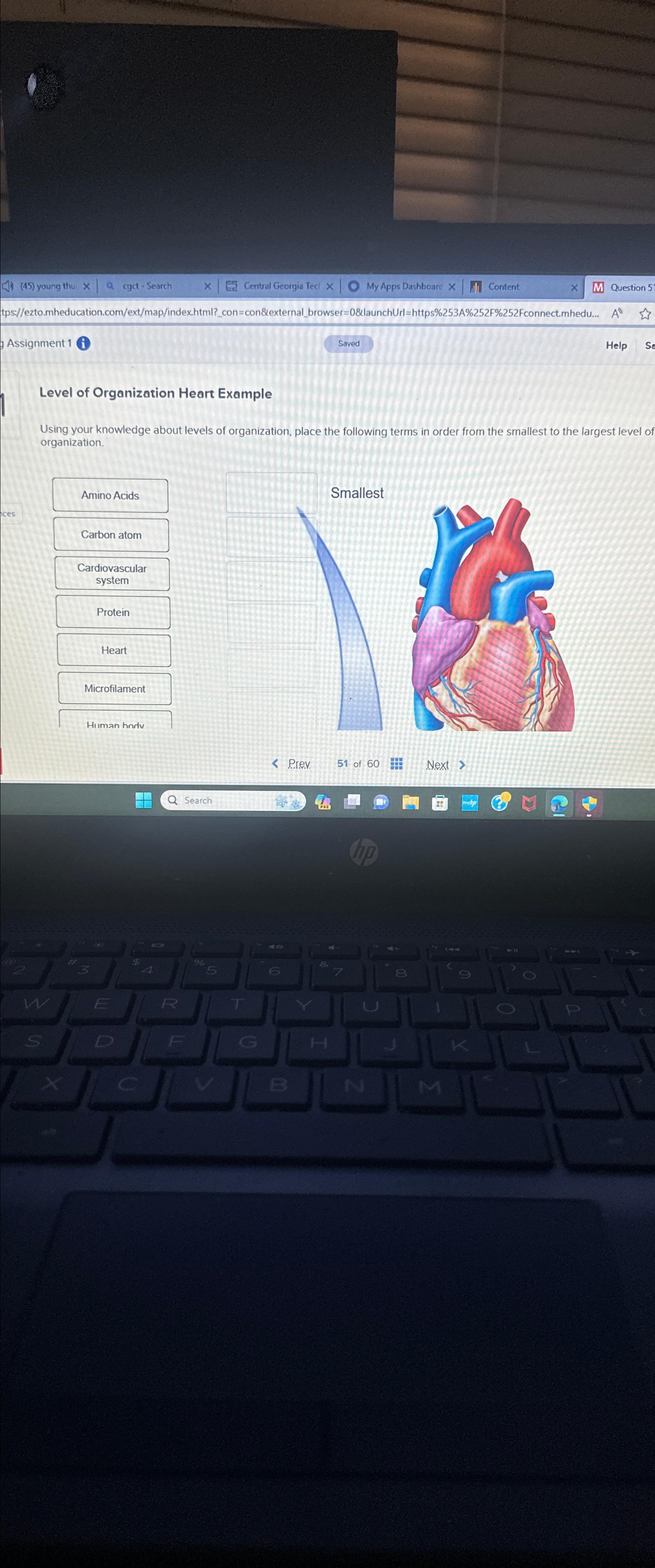 Solved Assignment 1 ﻿iLevel of Organization Heart | Chegg.com