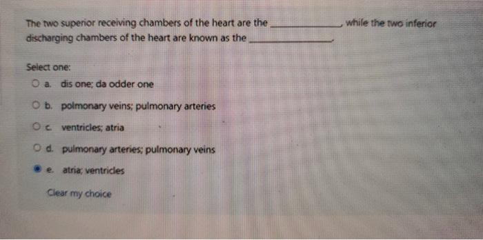 inferior two chambers of the heart