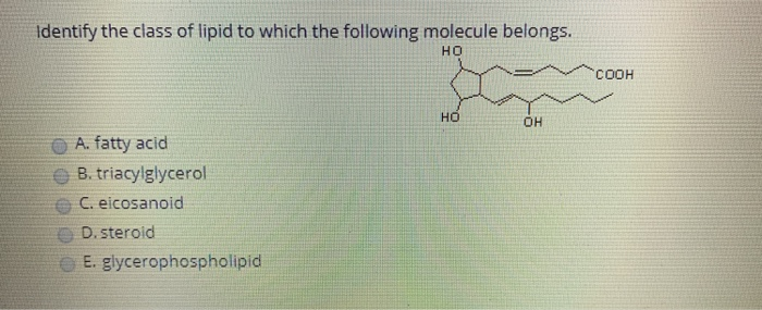 Solved Identify the class of lipid to which the following | Chegg.com