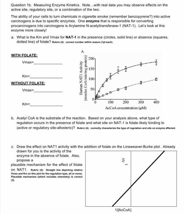 Solved Question 1b. Measuring Enzyme Kinetics. Note...with | Chegg.com