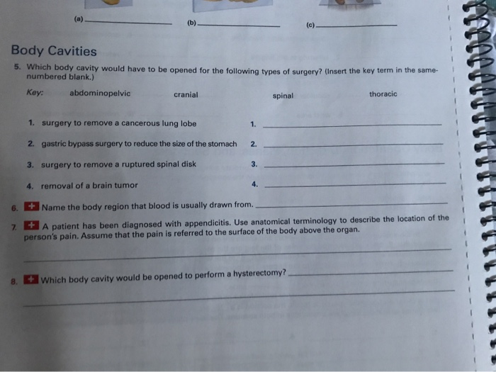 Solved LAENUISE REVIEW SHEET The Language of Anatomy Name | Chegg.com