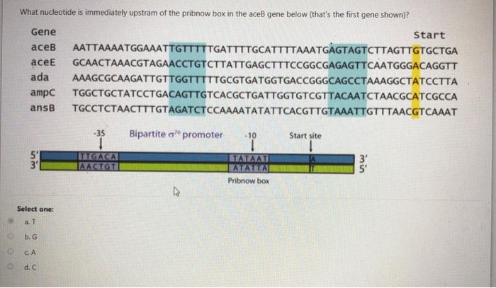 Solved What is the role of the 5' cap of eukaryotic mRNA? | Chegg.com