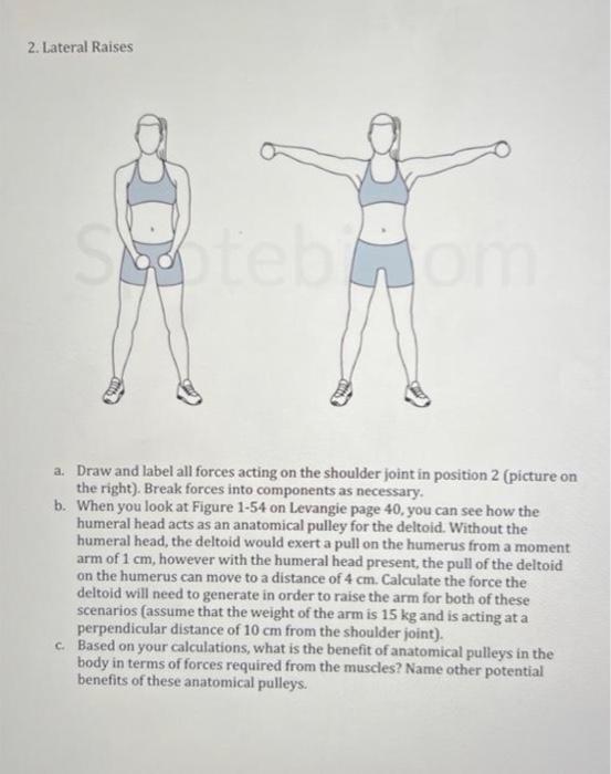 2. Lateral Raises A. Draw And Label All Forces Acting 