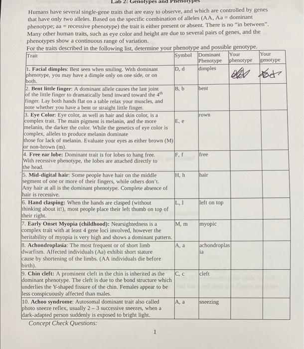 Humans have several singlegene traits that are easy