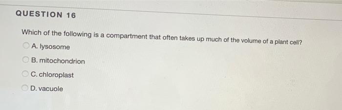 Solved Question 16 Which Of The Following Is A Compartment 