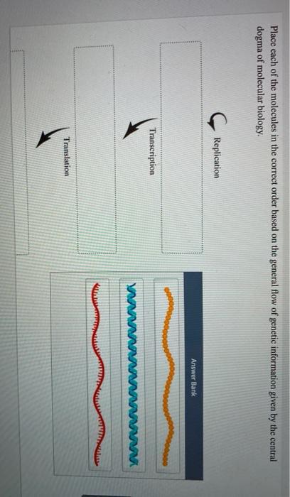Solved Place each of the molecules in the correct order | Chegg.com