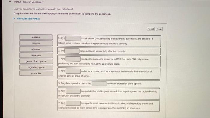 Solved Part A. Operon vocabulary Can you matches related to 