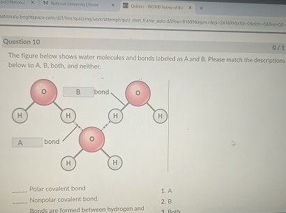 Solved Question 10The figure below shows water molecules and | Chegg.com