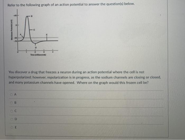 Solved Refer to the following graph of an action potential | Chegg.com