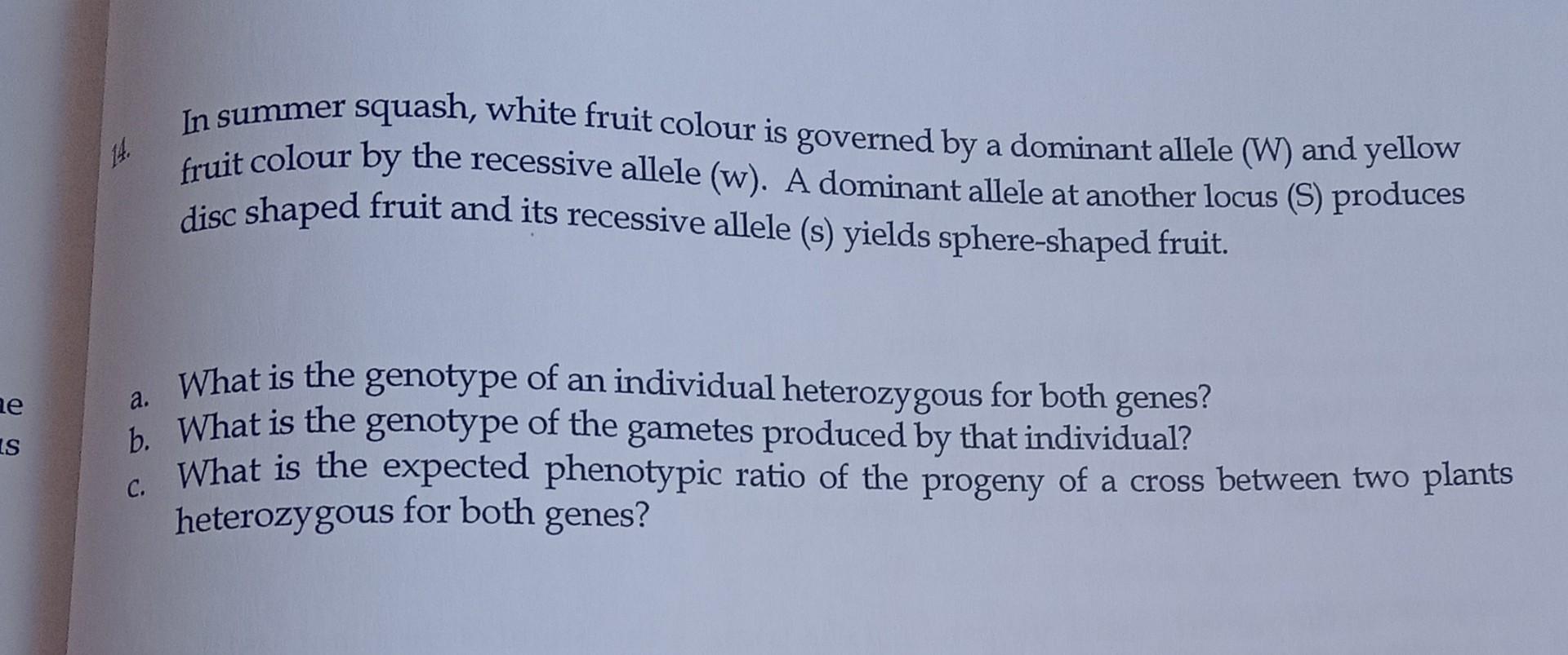 Solved In summer squash, white fruit colour is governed by a | Chegg.com