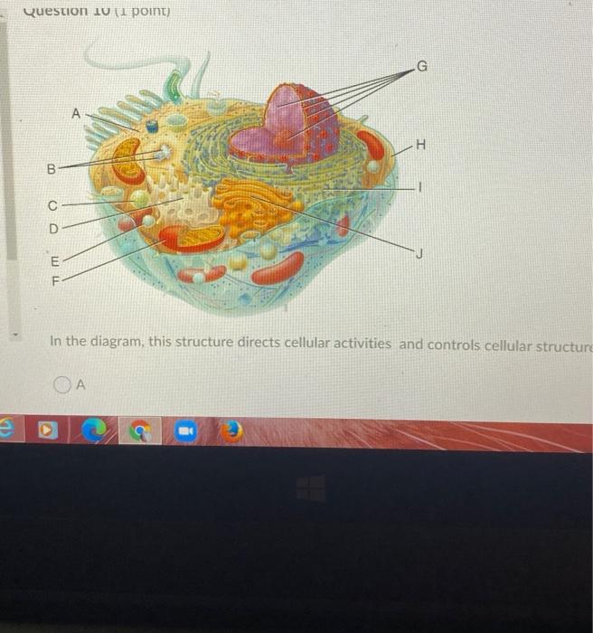 Solved Which of the following shows ligand binding at the | Chegg.com