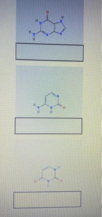 Solved 5. Review The Structures Shown Below And Identify. | Chegg.com