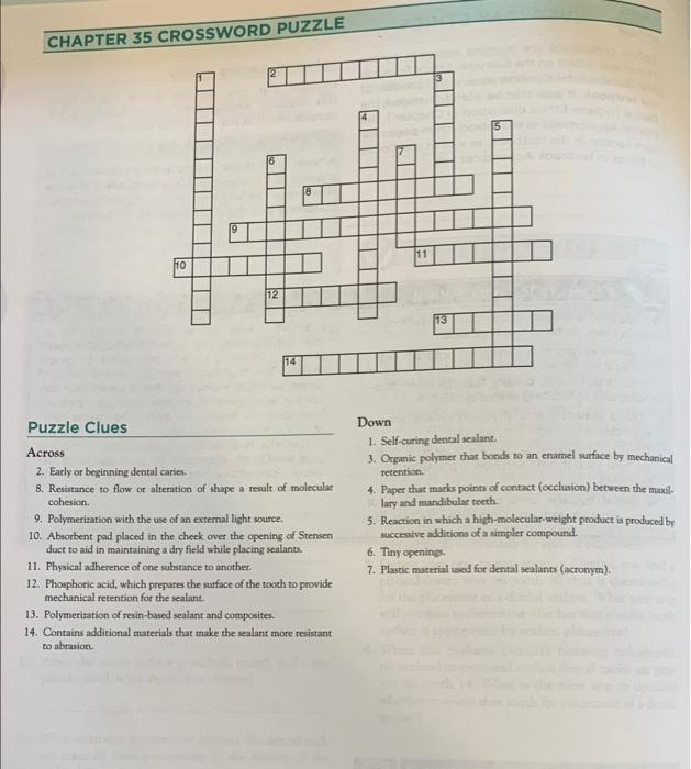 Solved CHAPTER 35 CROSSWORD PUZZLE 11 110 12 14 Puzzle Clues Chegg com