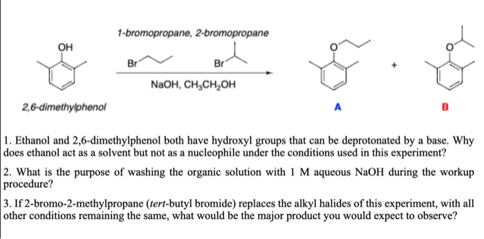 1 Ethanol And 2 6 Dimethylphenol Both Have Hydroxyl Chegg Com