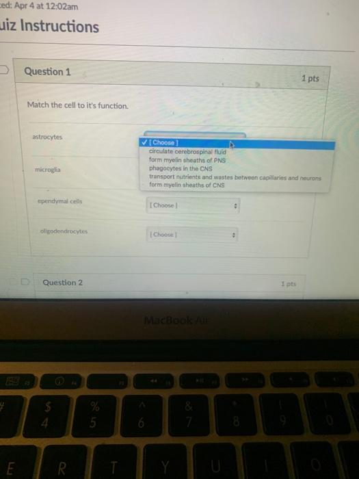 Solved ced: Apr 4 at 12:02am uiz Instructions Question 1 1 | Chegg.com