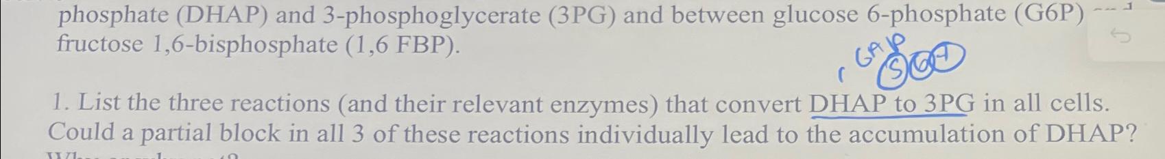 Solved phosphate (DHAP) ﻿and 3-phosphoglycerate (3PG) ﻿and | Chegg.com