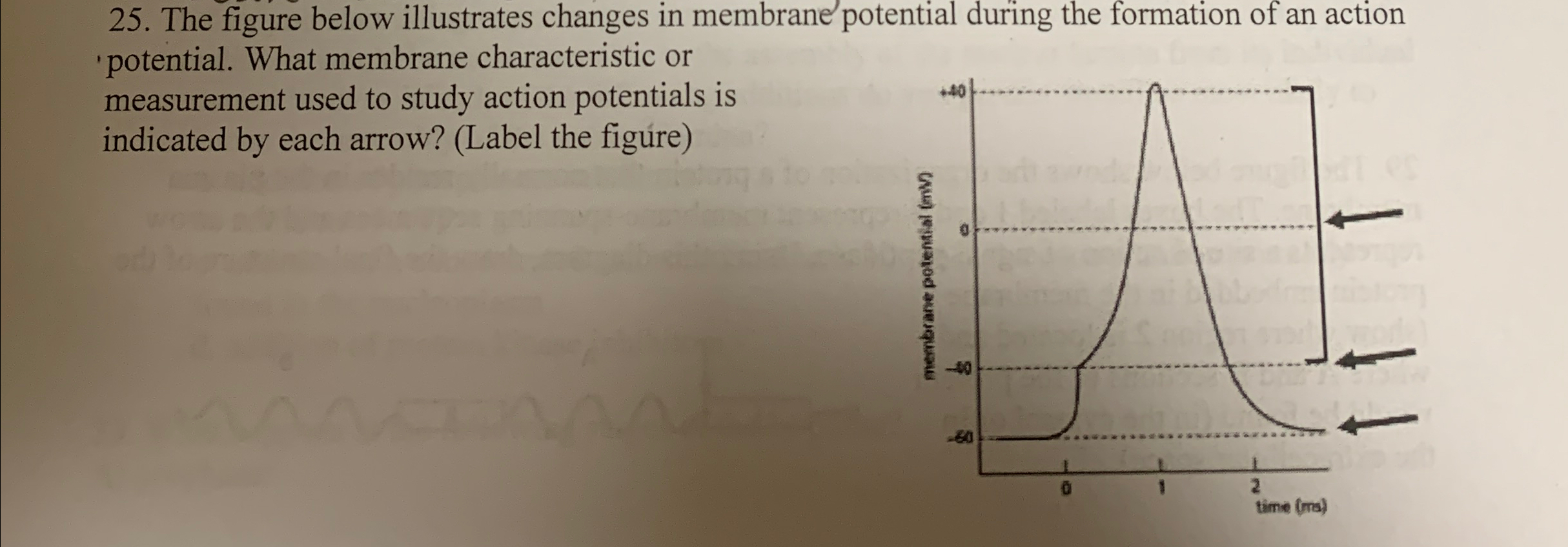 Solved The figure below illustrates changes in membrane | Chegg.com