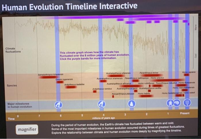 Human evolution timeline interactive