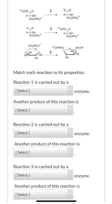 Solved Fructans are an abundant carbohydrates in plants. The | Chegg.com