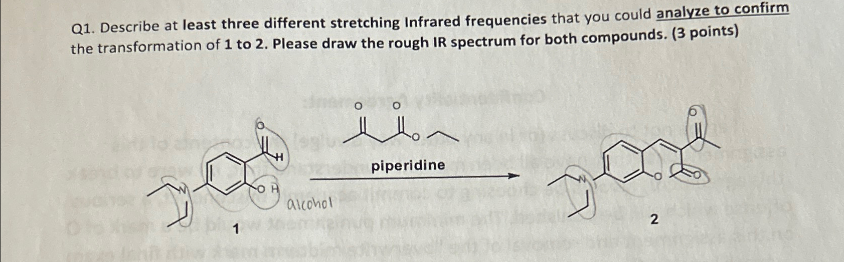 Solved Q1. ﻿Describe at least three different stretching | Chegg.com