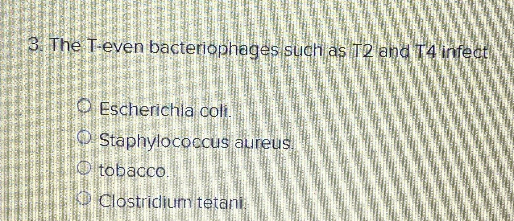 Solved The T-even Bacteriophages Such As T2 ﻿and T4 