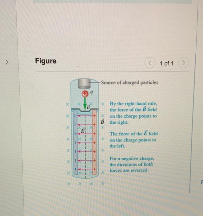 Solved In The Bainbridge Mass Spectrometer (Figure 1), The | Chegg.com