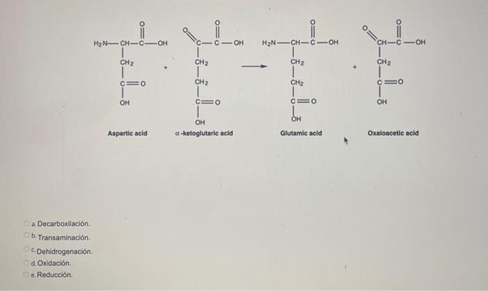 student submitted image, transcription available below