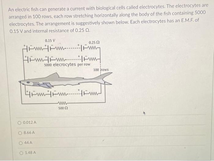 Solved An electric fish can generate a current with | Chegg.com