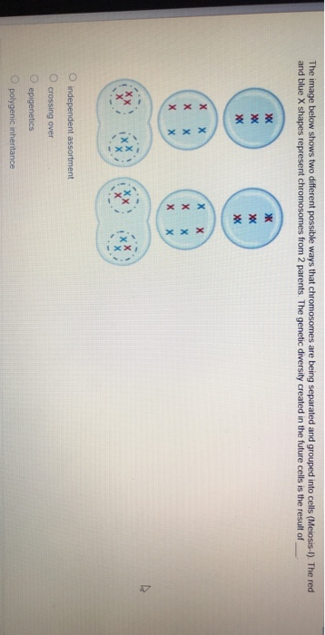 Solved The image below shows two different possible ways | Chegg.com