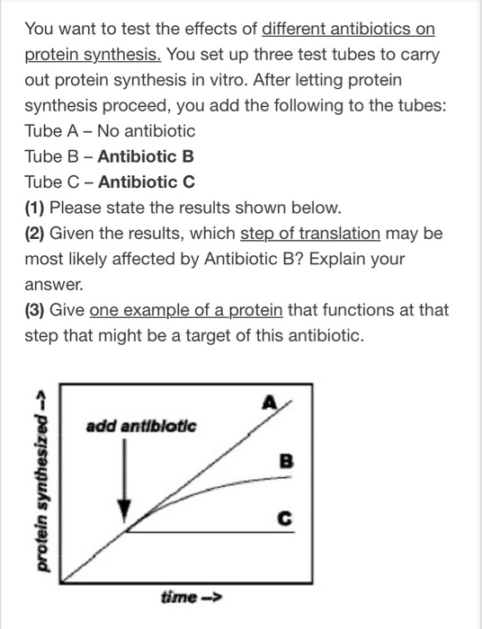 Solved You want to test the effects of different antibiotics | Chegg.com