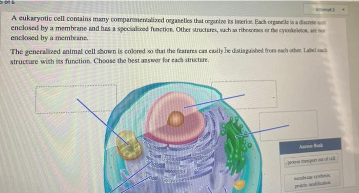 Solved DOT 6 A eukaryotic cell contains many | Chegg.com