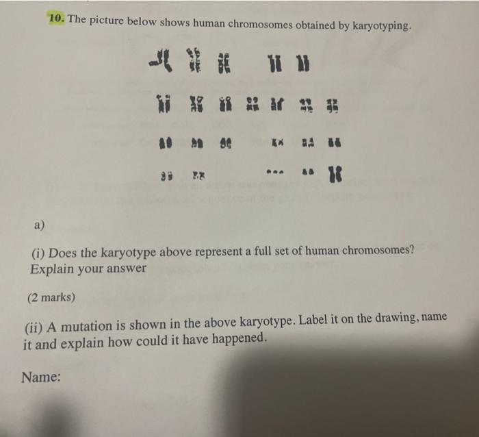 Solved 10. The picture below shows human chromosomes | Chegg.com