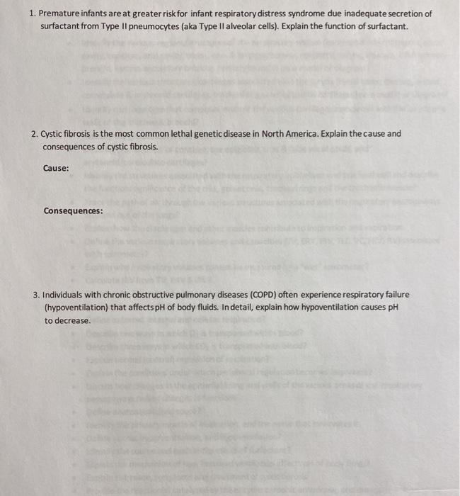 Solved Lab Activity Overview Of The Respiratory System Chegg Com