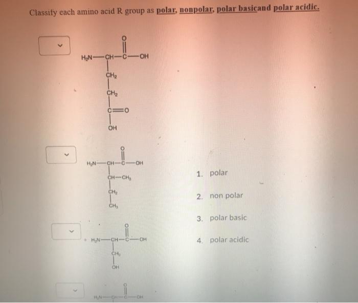 Solved Classify each amino acid R group as polar, nonpolar, | Chegg.com