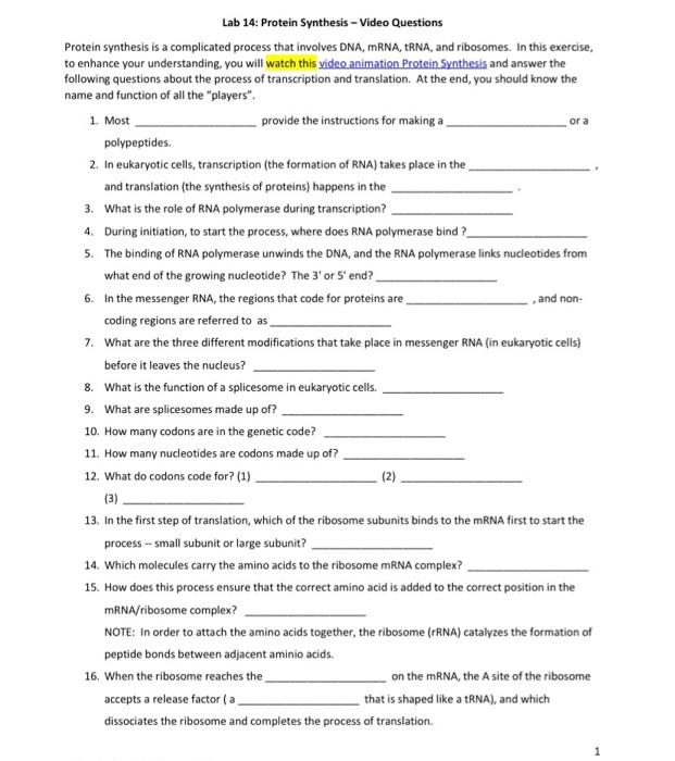Solved Lab 14: Protein Synthesis - Video Questions Protein | Chegg.com