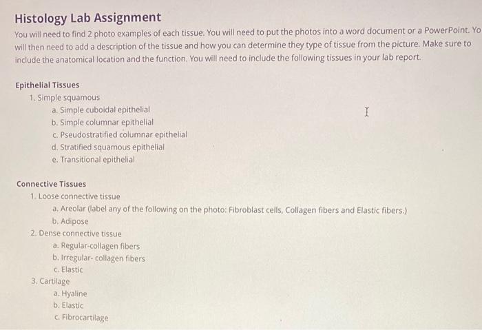 histology lab assignment