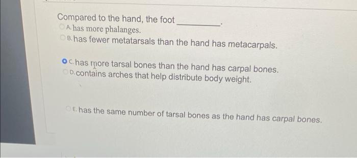 phalanges hand and foot