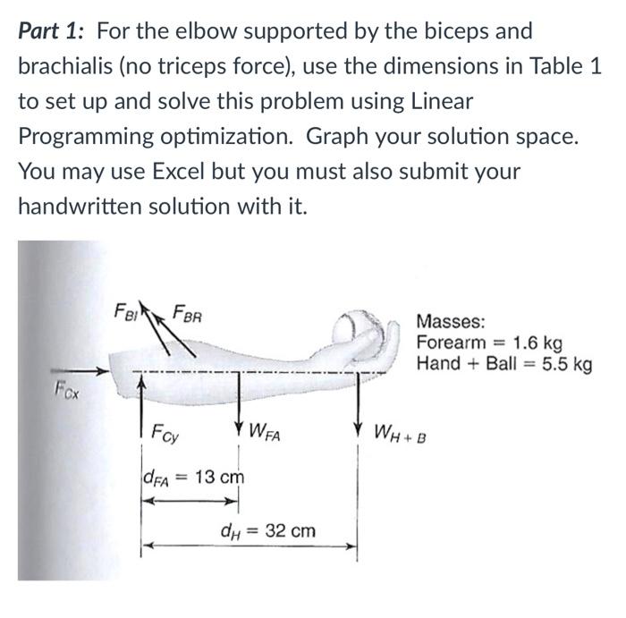 Solved Begin{tabular}{ L L L L } Hline Muscle And Insertion