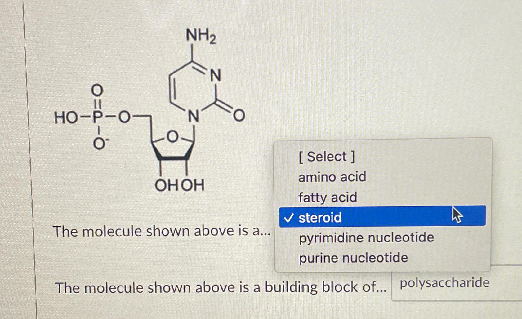 Solved The molecule shown above is a...[ ﻿Select ] ﻿amino