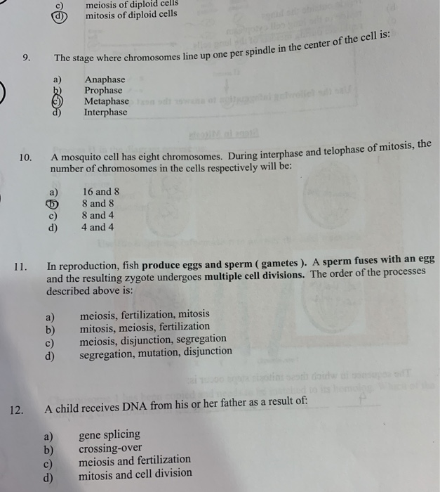 Solved meiosis of diploid cells mitosis of diploid cells 9. | Chegg.com