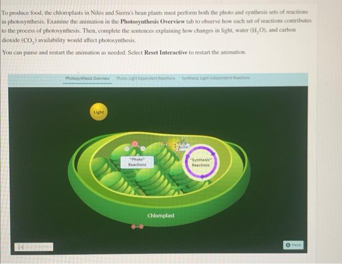Solved To produce food, the chloroplasts in Niles and 