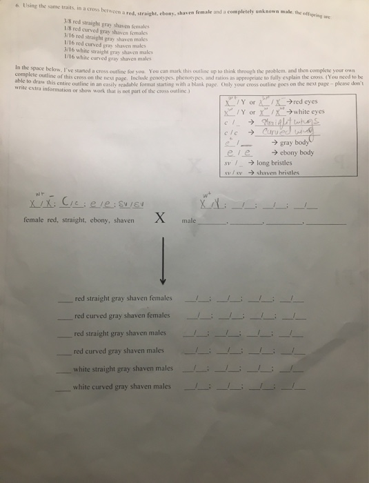 Solved based on the information answer question 5 and 6 | Chegg.com