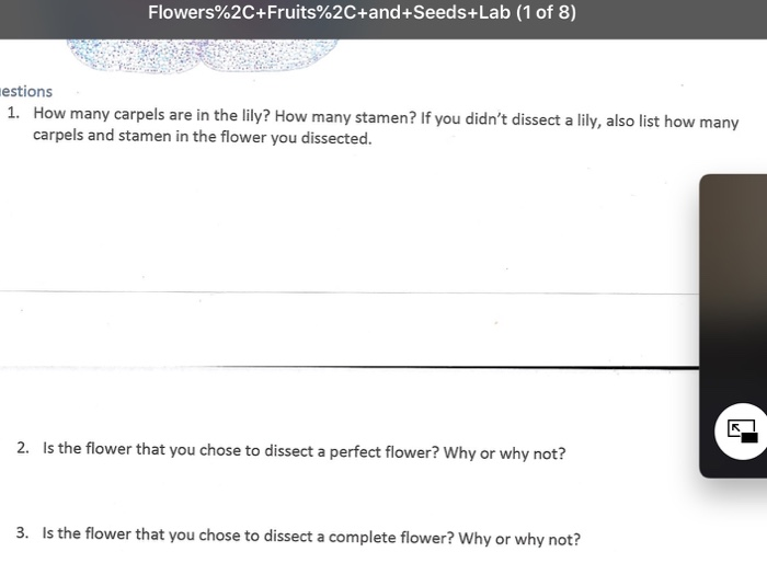 Solved Flowers%2C+Fruits%2C+and+Seeds+Lab (1 of 8) estions | Chegg.com